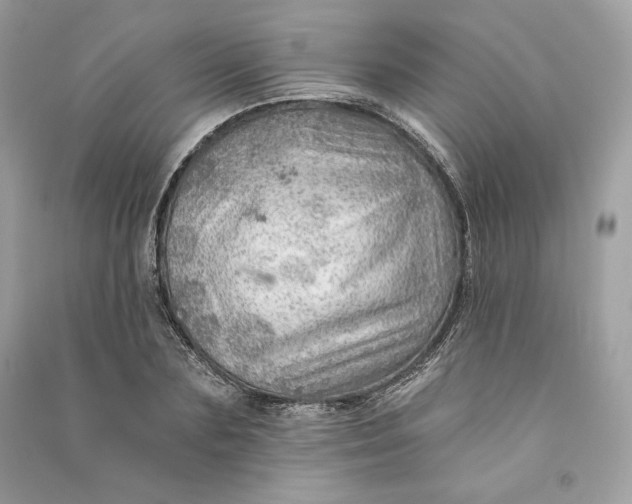 X0000090780883200708101830