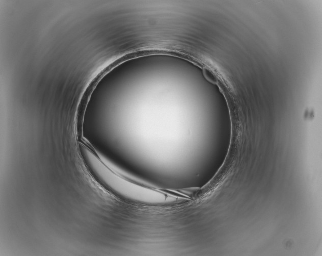 X0000090780884200708101830