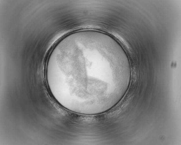 X0000090780886200708101830