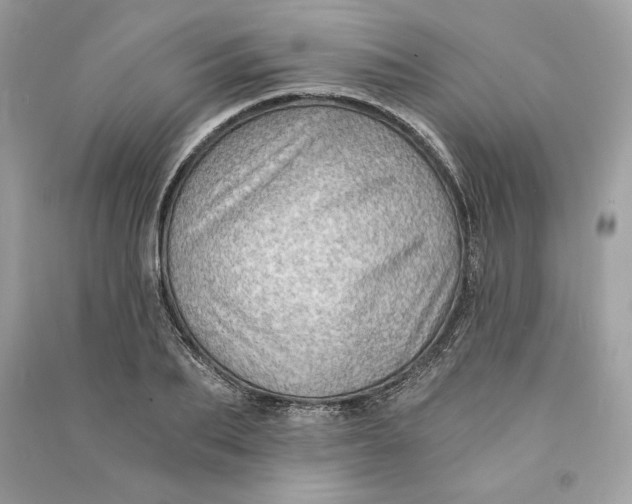 X0000090780887200708101830
