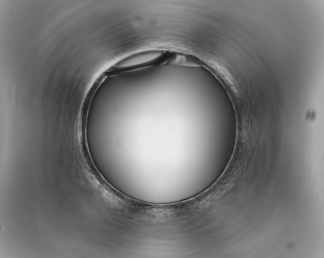 X0000090780888200708101830