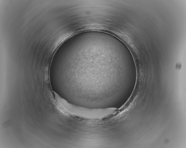 X0000090780889200708101830