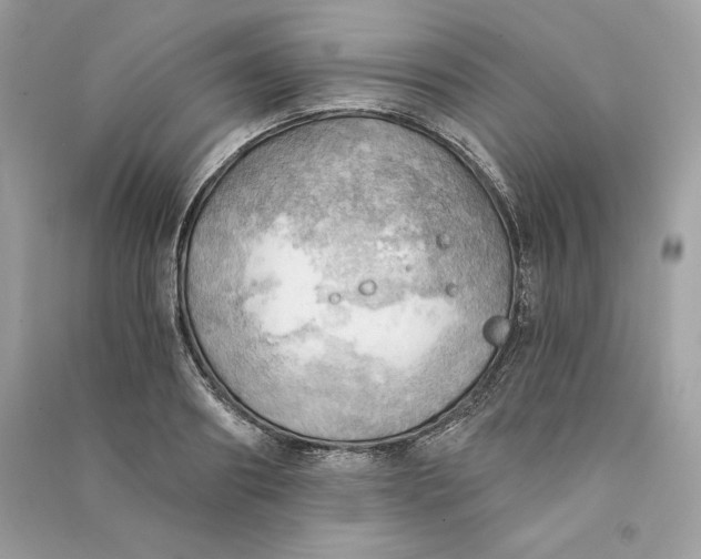 X0000090780890200708101830