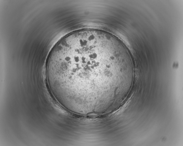 X0000090780891200708101830