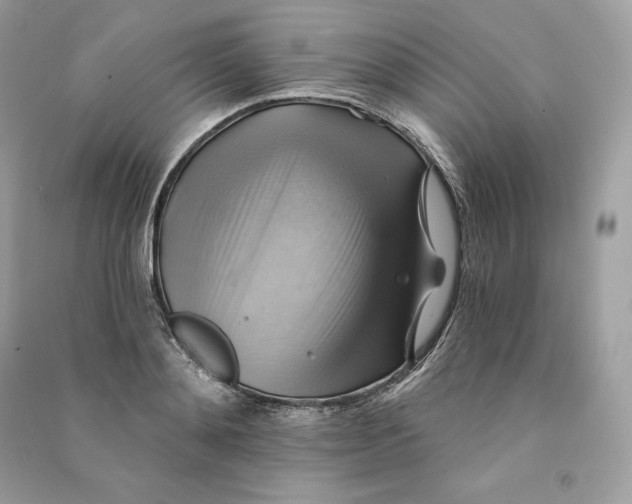 X0000090780892200708101830