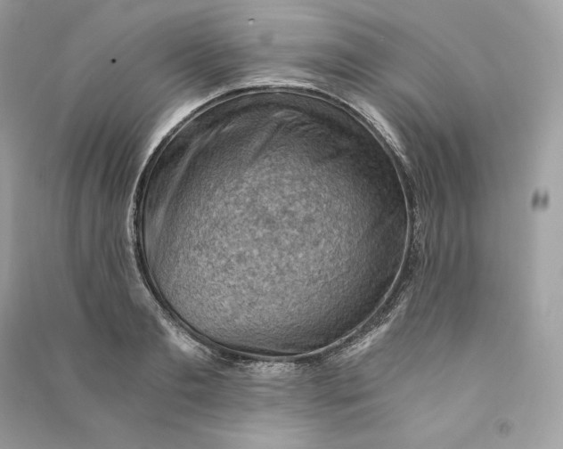 X0000090780893200708101830