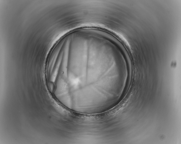 X0000090780895200708101830