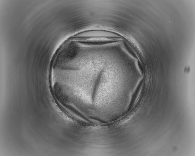 X0000090780896200708101830