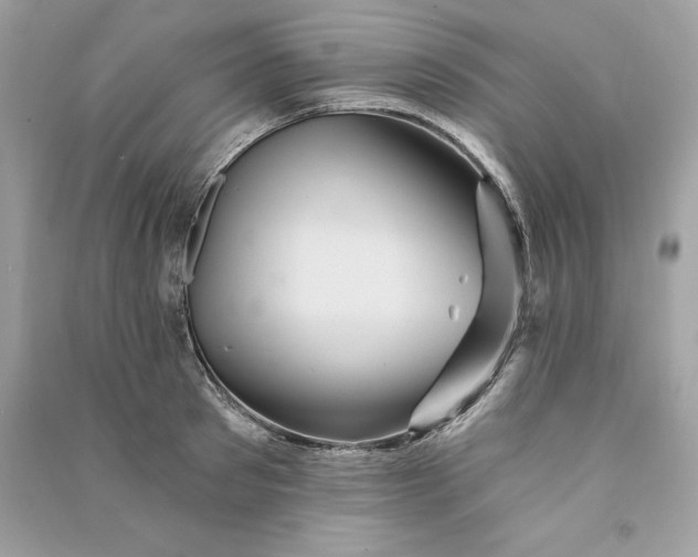 X0000090780897200708101830