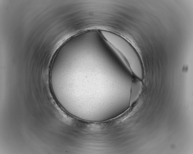 X0000090780898200708101830
