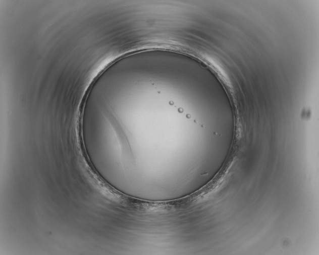 X0000090780899200708101830
