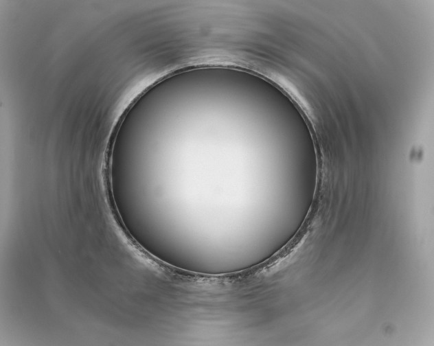 X0000090780901200708101830