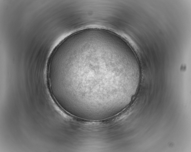 X0000090780902200708101830