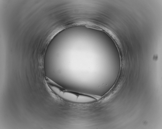 X0000090780905200708101830