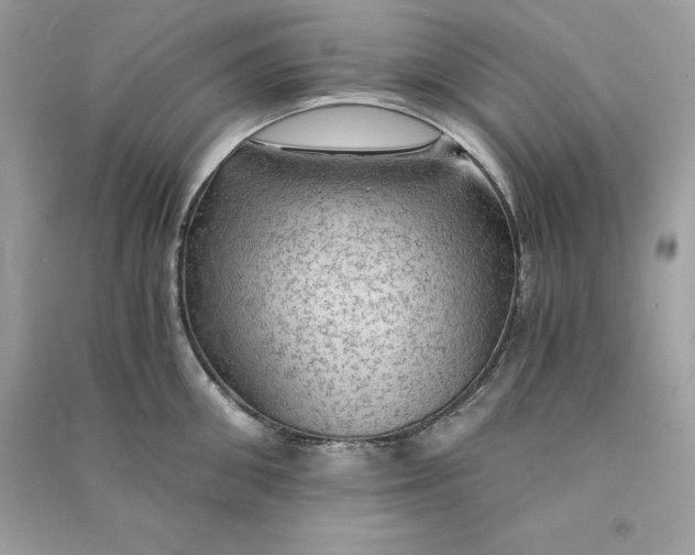 X0000090780906200708101830
