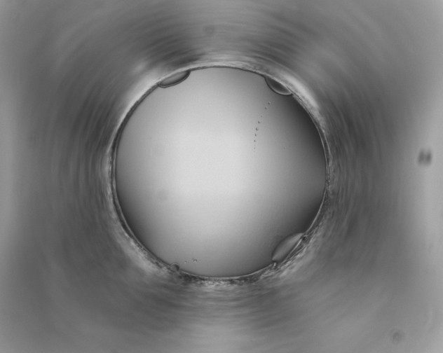 X0000090780907200708101830