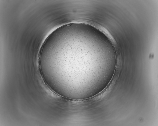 X0000090780908200708101830