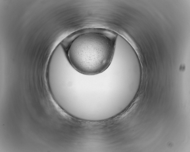 X0000090780909200708101830
