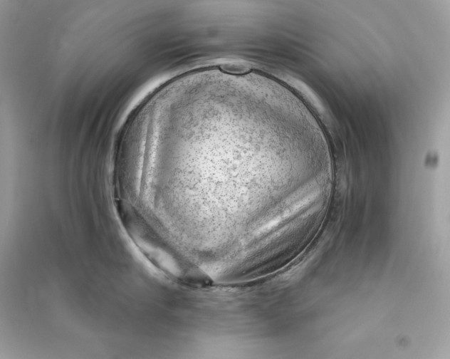 X0000090780910200708101830