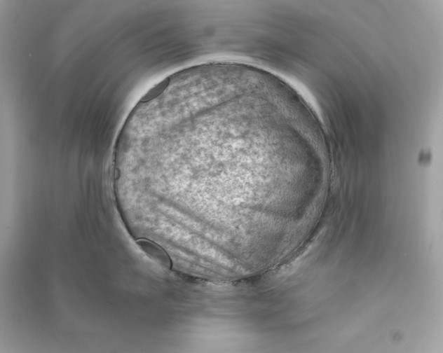 X0000090780911200708101830