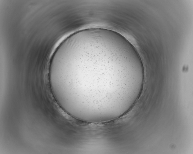 X0000090780912200708101830