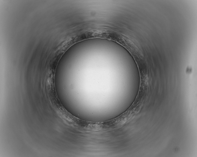 X0000090780914200708101829