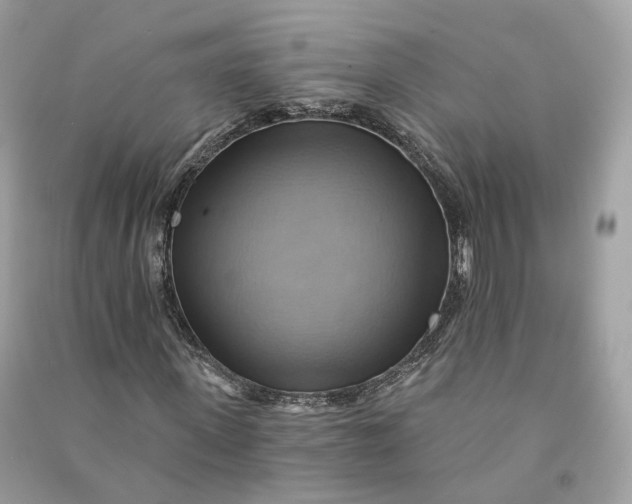 X0000090780915200708101829