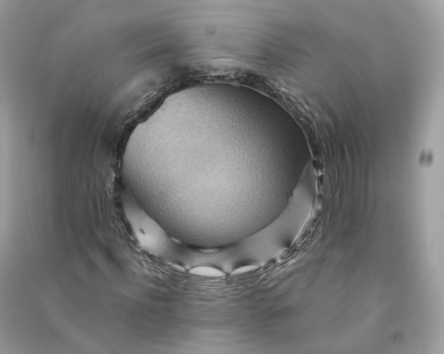X0000090780916200708101829