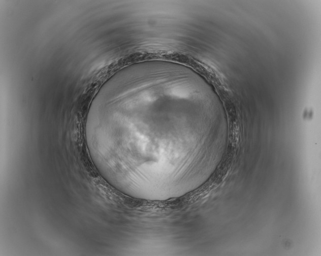 X0000090780917200708101829