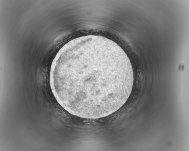 X0000090780918200708101829
