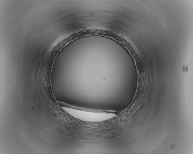 X0000090780919200708101829