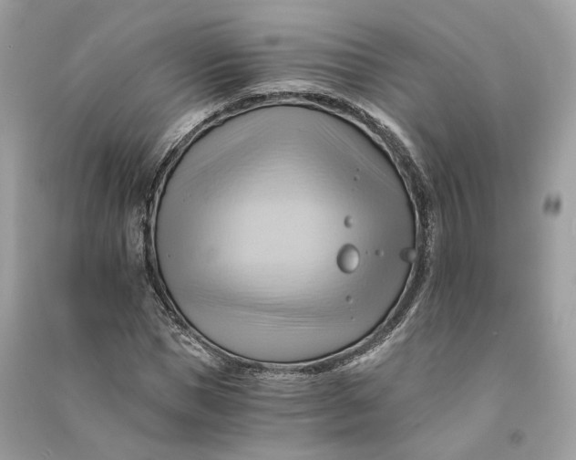 X0000090780921200708101829