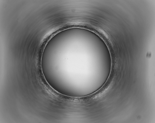 X0000090780922200708101829