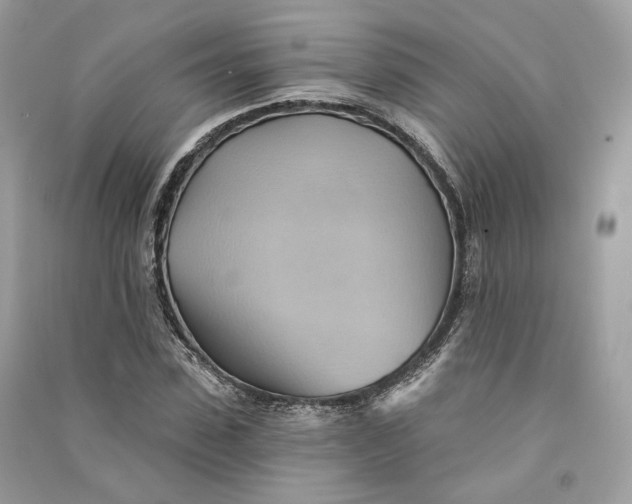 X0000090780923200708101829
