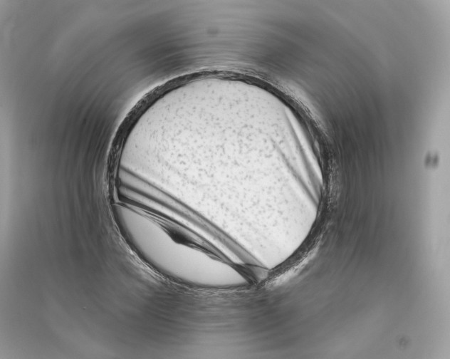 X0000090780924200708101829