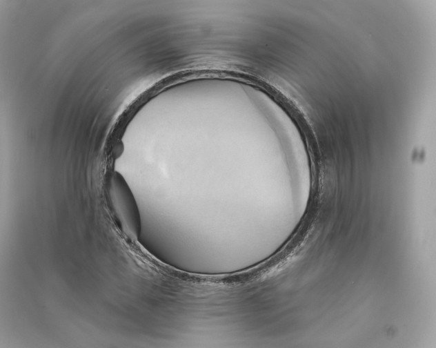 X0000090780925200708101829