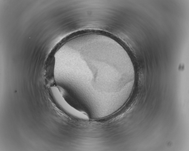 X0000090780926200708101829