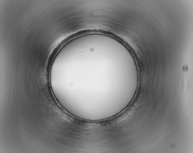 X0000090780927200708101829