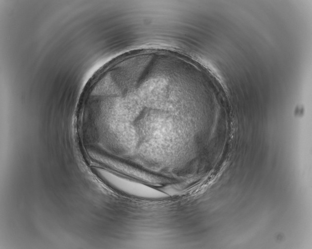 X0000090780928200708101829