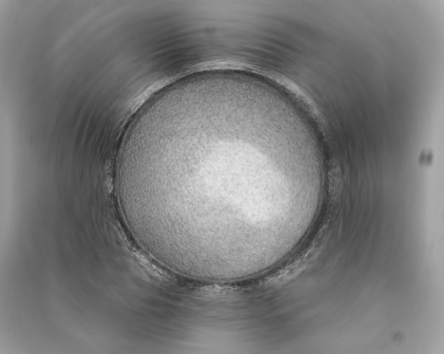 X0000090780929200708101829