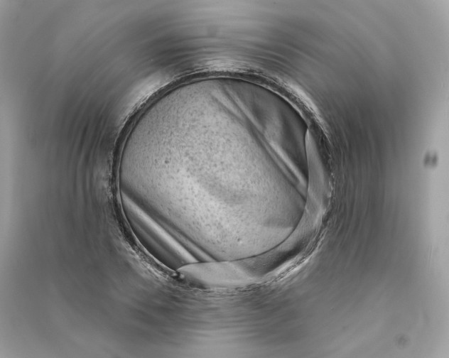 X0000090780930200708101829