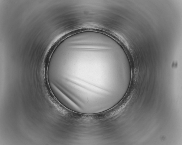 X0000090780931200708101829