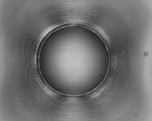 X0000090780932200708101829