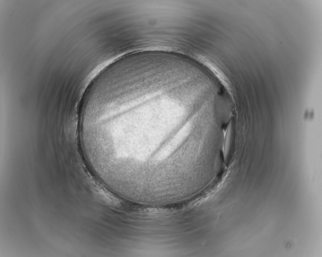 X0000090780933200708101829