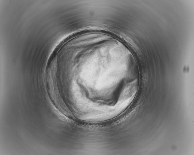 X0000090780934200708101829