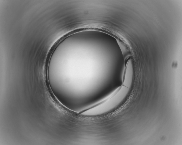 X0000090780936200708101829