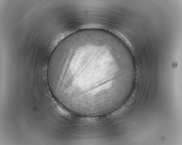 X0000090780937200708101829