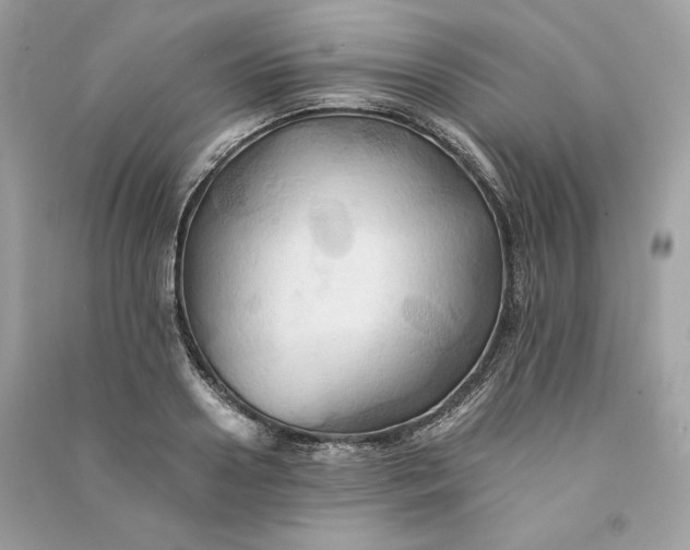 X0000090780938200708101829