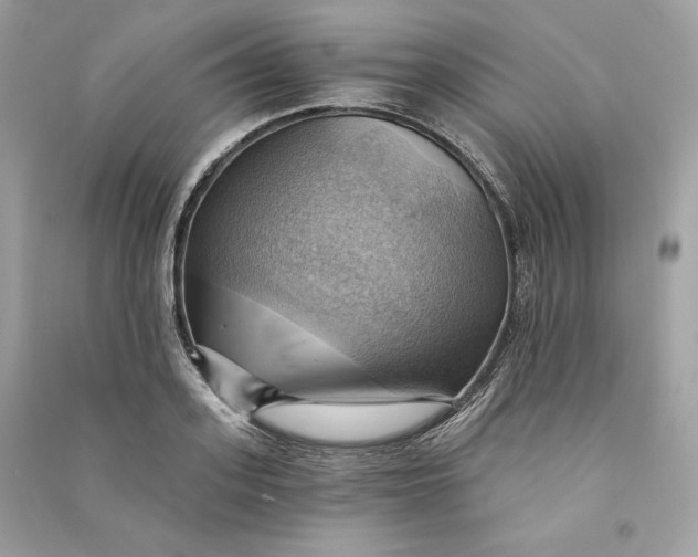 X0000090780939200708101829
