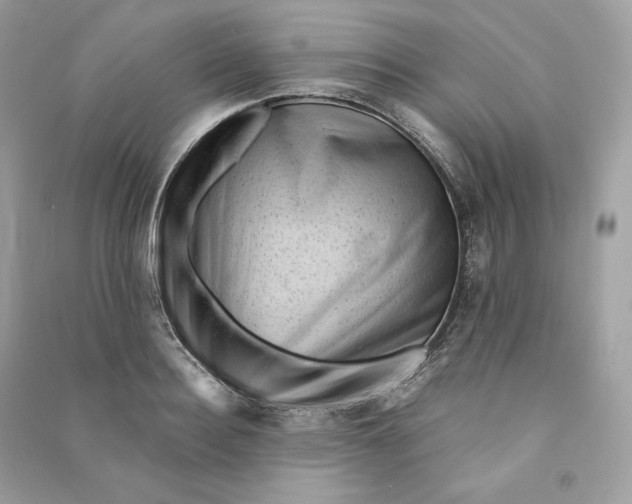 X0000090780940200708101829